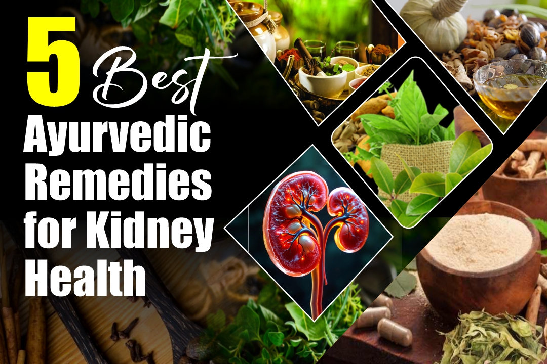 5 Best Ayurvedic Remedies for Kidney Health